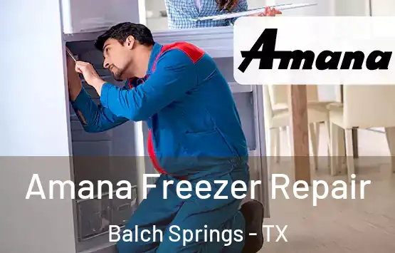  Amana Freezer Repair Balch Springs - TX