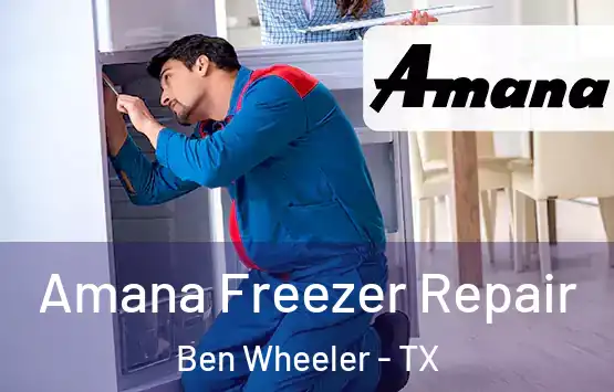  Amana Freezer Repair Ben Wheeler - TX