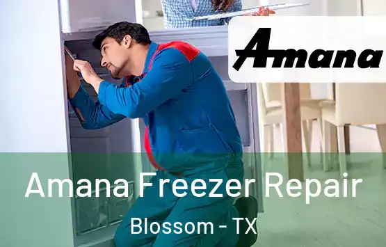  Amana Freezer Repair Blossom - TX