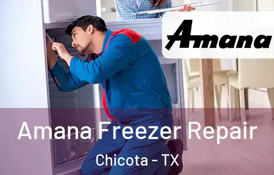  Amana Freezer Repair Chicota - TX