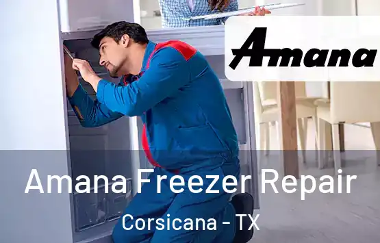  Amana Freezer Repair Corsicana - TX