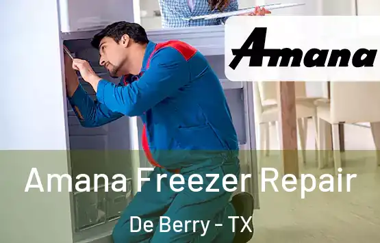  Amana Freezer Repair De Berry - TX
