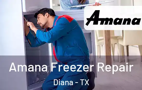  Amana Freezer Repair Diana - TX