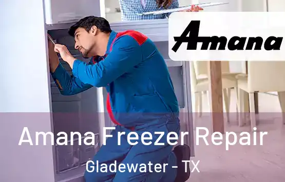  Amana Freezer Repair Gladewater - TX