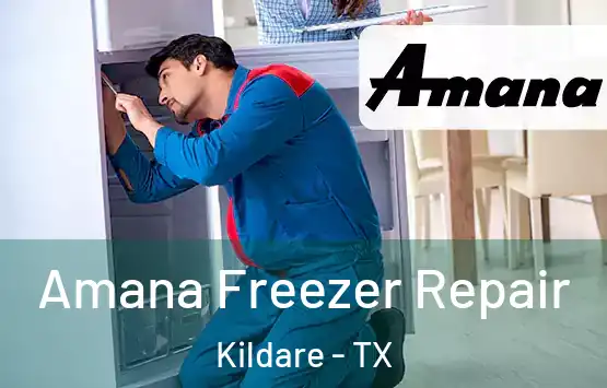  Amana Freezer Repair Kildare - TX
