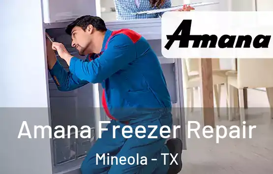  Amana Freezer Repair Mineola - TX