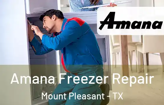  Amana Freezer Repair Mount Pleasant - TX