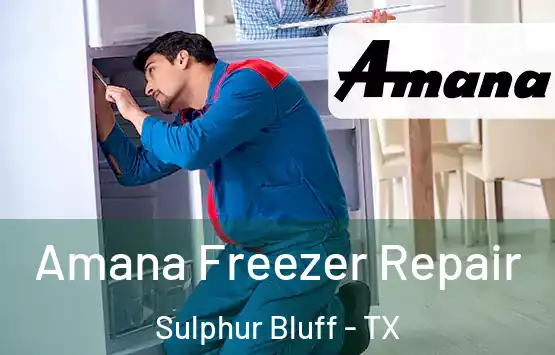  Amana Freezer Repair Sulphur Bluff - TX