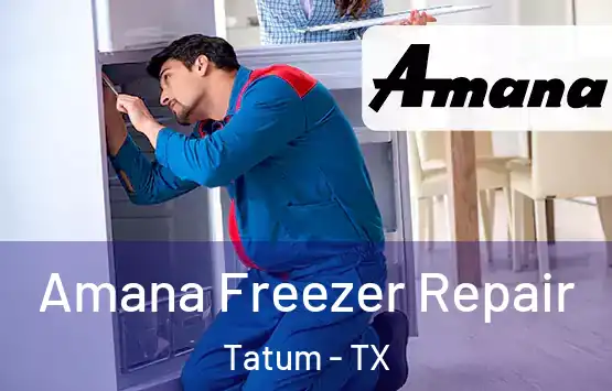  Amana Freezer Repair Tatum - TX