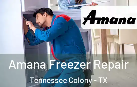  Amana Freezer Repair Tennessee Colony - TX