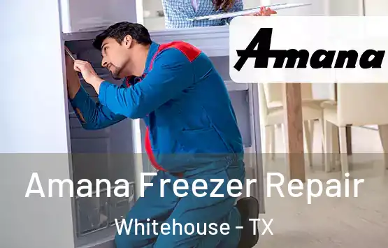  Amana Freezer Repair Whitehouse - TX