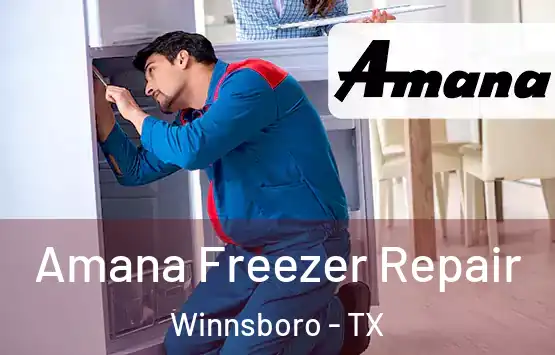  Amana Freezer Repair Winnsboro - TX