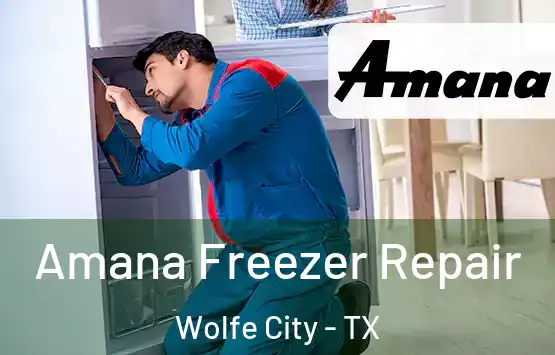  Amana Freezer Repair Wolfe City - TX
