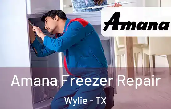 Amana Freezer Repair Wylie - TX