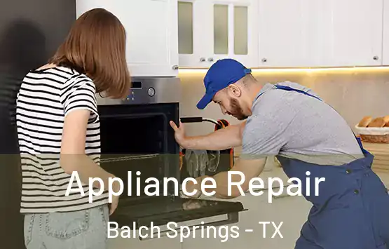  Appliance Repair Balch Springs - TX
