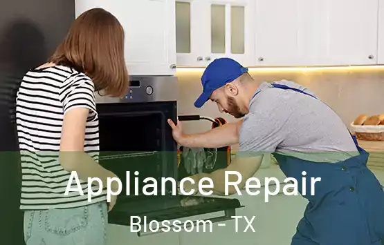  Appliance Repair Blossom - TX