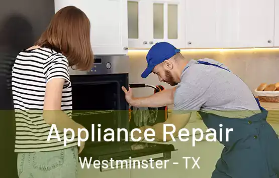  Appliance Repair Westminster - TX