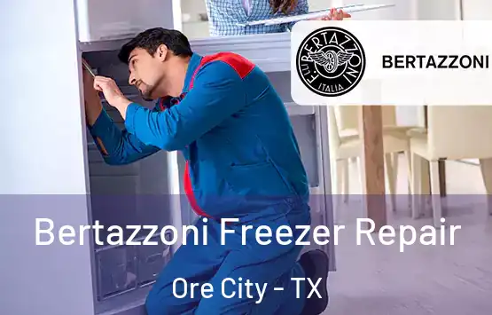  Bertazzoni Freezer Repair Ore City - TX