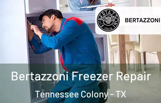  Bertazzoni Freezer Repair Tennessee Colony - TX