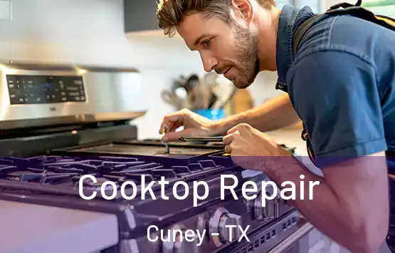  Cooktop Repair Cuney - TX