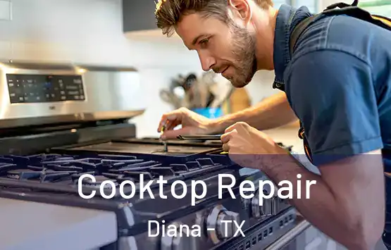  Cooktop Repair Diana - TX