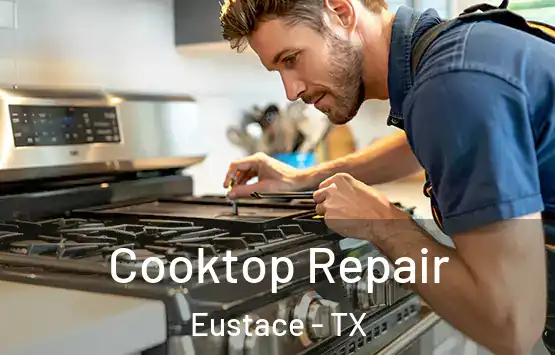  Cooktop Repair Eustace - TX