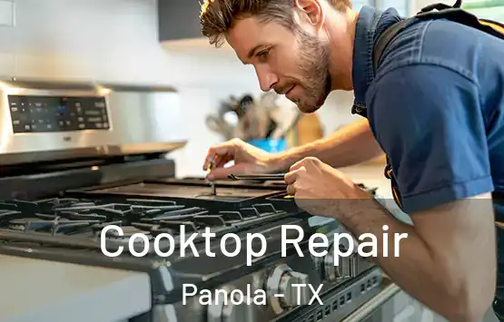  Cooktop Repair Panola - TX