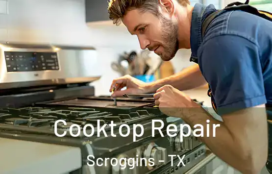  Cooktop Repair Scroggins - TX