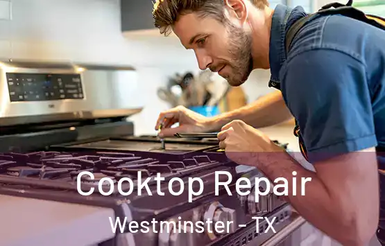  Cooktop Repair Westminster - TX