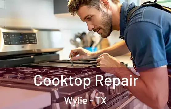  Cooktop Repair Wylie - TX