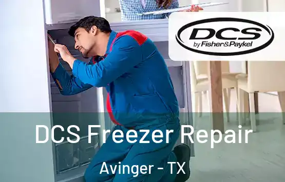  DCS Freezer Repair Avinger - TX