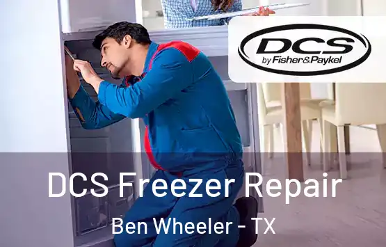  DCS Freezer Repair Ben Wheeler - TX