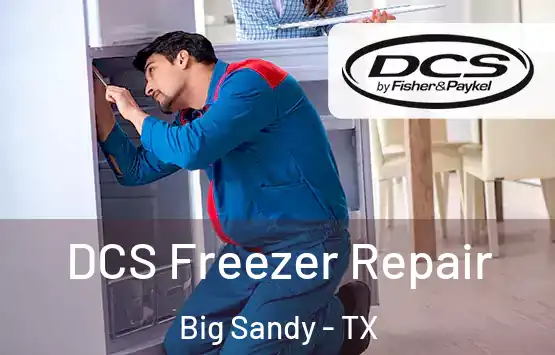 DCS Freezer Repair Big Sandy - TX