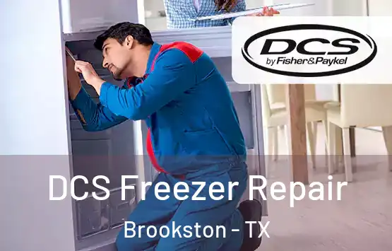  DCS Freezer Repair Brookston - TX