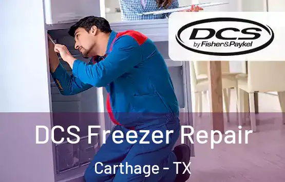  DCS Freezer Repair Carthage - TX