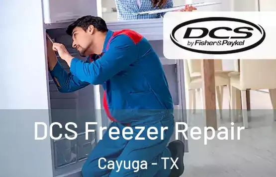  DCS Freezer Repair Cayuga - TX