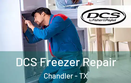  DCS Freezer Repair Chandler - TX