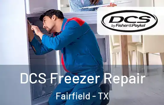  DCS Freezer Repair Fairfield - TX