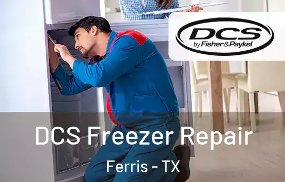  DCS Freezer Repair Ferris - TX