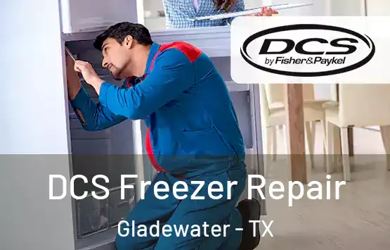 DCS Freezer Repair Gladewater - TX