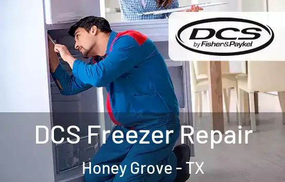  DCS Freezer Repair Honey Grove - TX