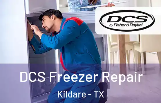  DCS Freezer Repair Kildare - TX