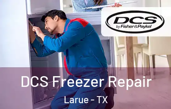 DCS Freezer Repair Larue - TX