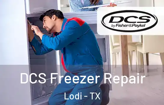  DCS Freezer Repair Lodi - TX