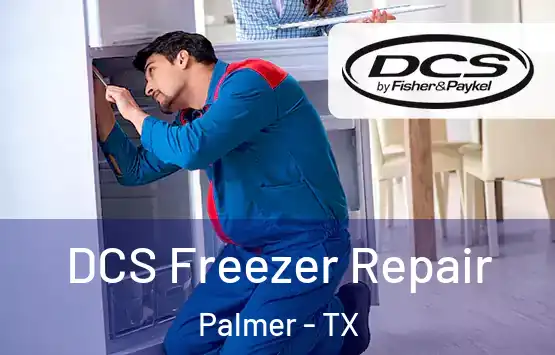  DCS Freezer Repair Palmer - TX