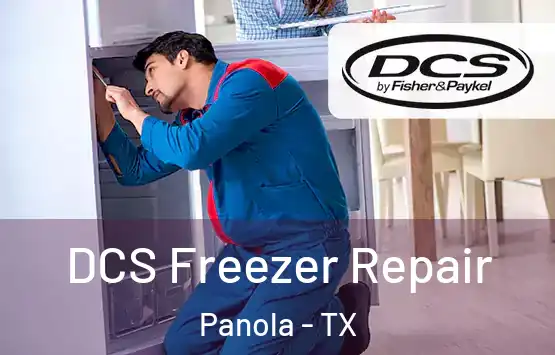 DCS Freezer Repair Panola - TX