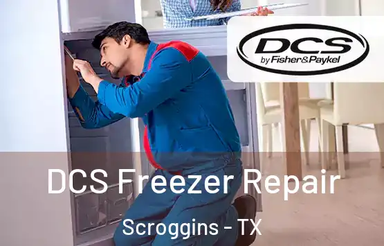  DCS Freezer Repair Scroggins - TX