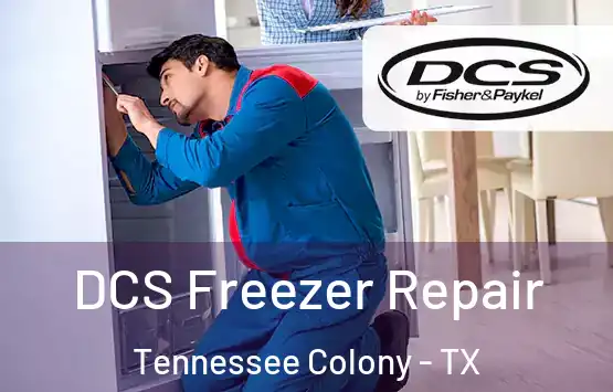  DCS Freezer Repair Tennessee Colony - TX