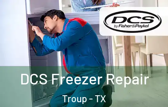  DCS Freezer Repair Troup - TX