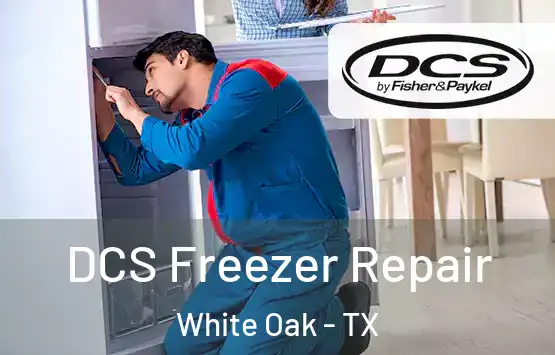  DCS Freezer Repair White Oak - TX